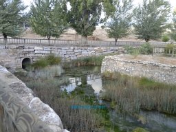 Castellum de Archivel 2014